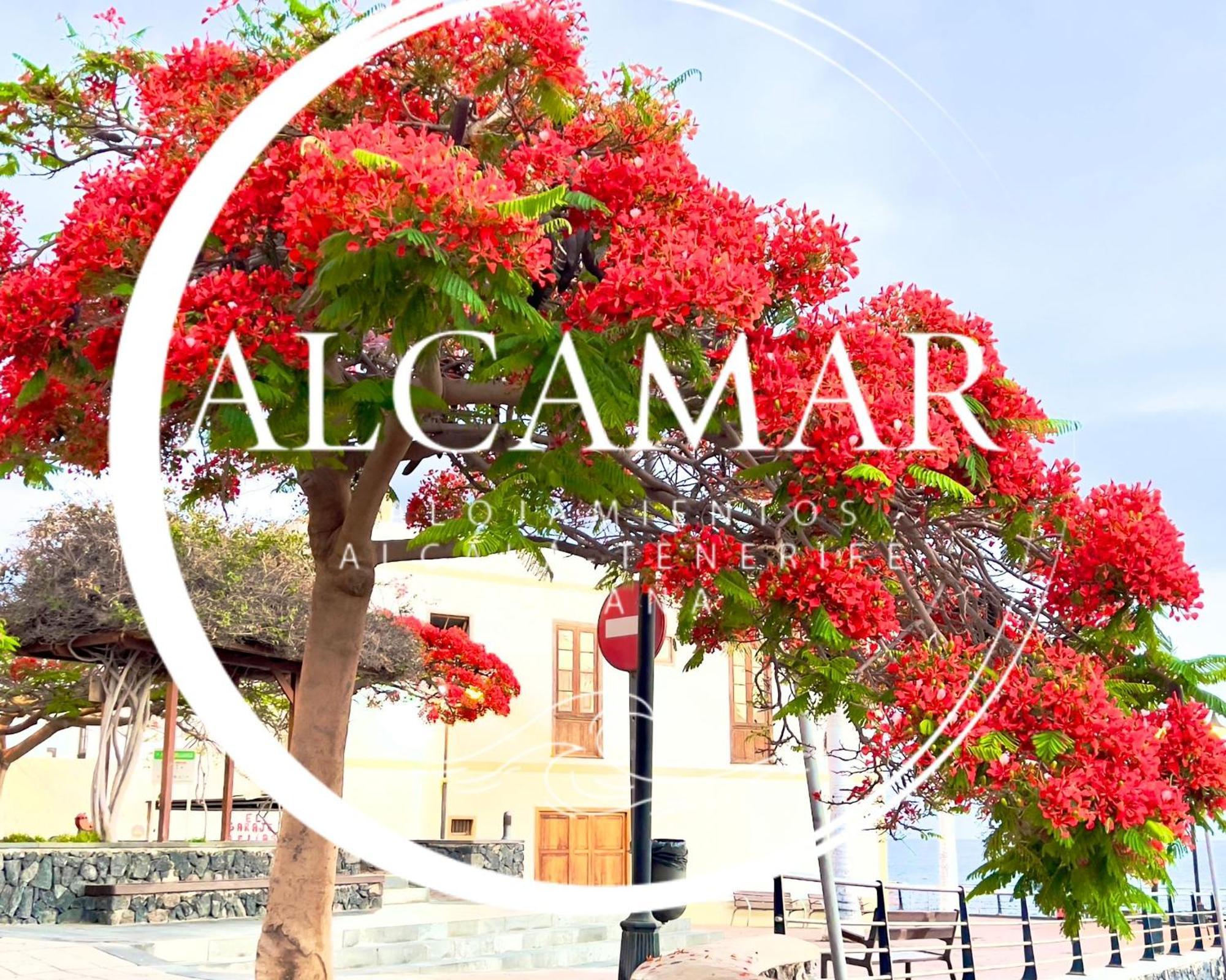 Alcamar Habitacion Privada Con Las Areas De Sala, Cocina Y Bano Que Se Comparten Cerca Al Mar! Alcalá la Real Exterior foto